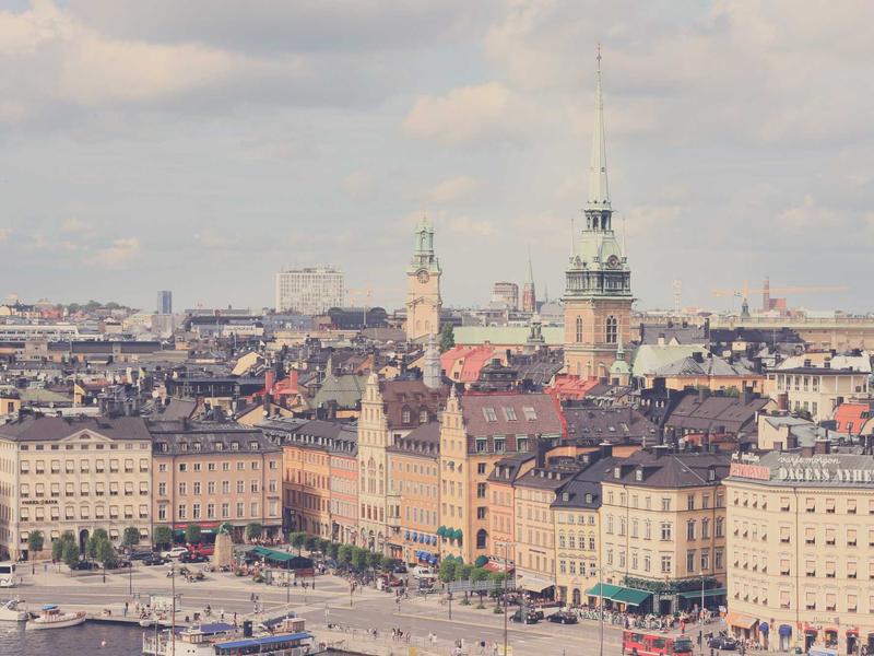 薛定谔的猫<br>aamotnk.cn 生死叠加态
